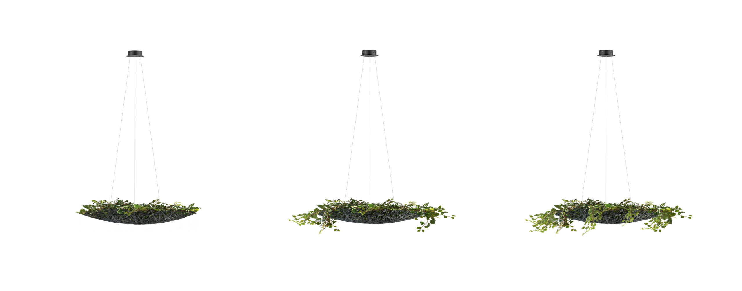 Fiber Planter Lamp Björn Siegmund Architektur Architecture 3