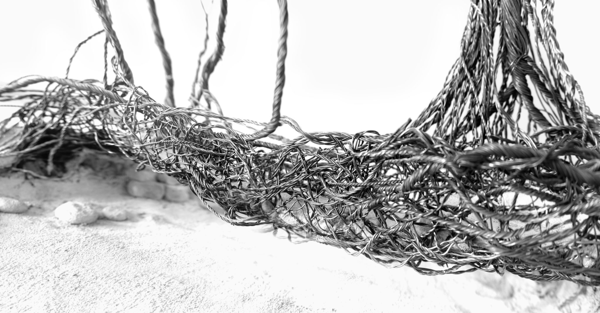 living-root-bridge-bj-rn-siegmund-architektur-design