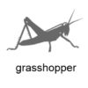 Grasshopp